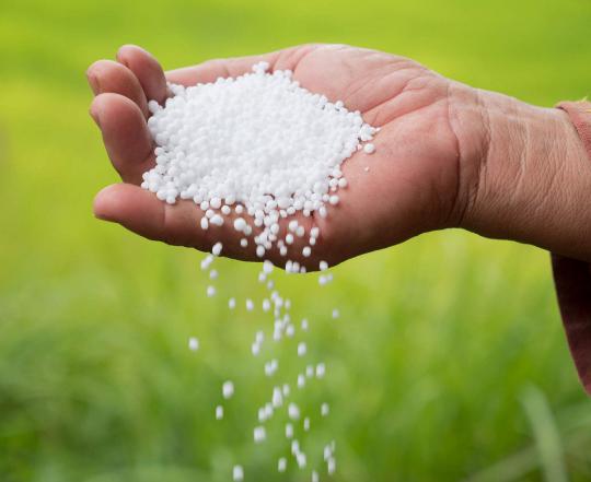 سیلیس در کشاورزی کاربرد زیادی دارد