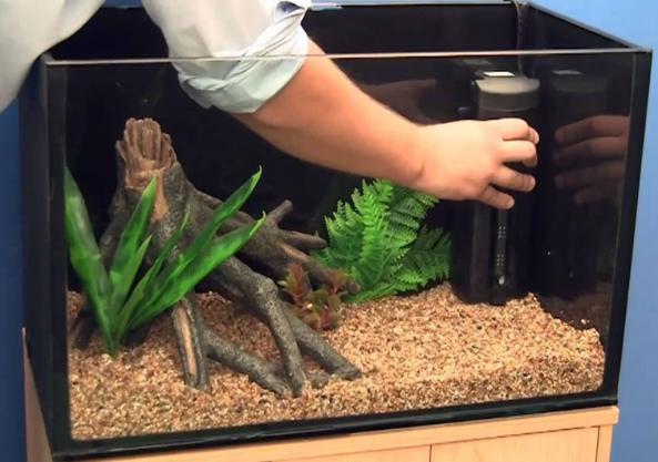 سیلیس کاربردهای شگفت انگیزی دارد