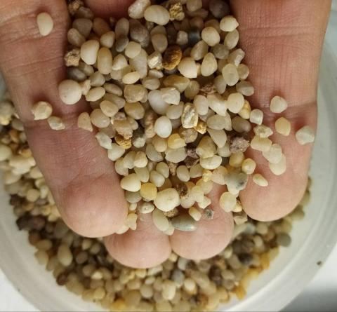 راهنمای خرید انواع سیلیس آکواریوم کیلویی